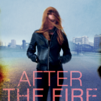 After the Fire – Jane Casey